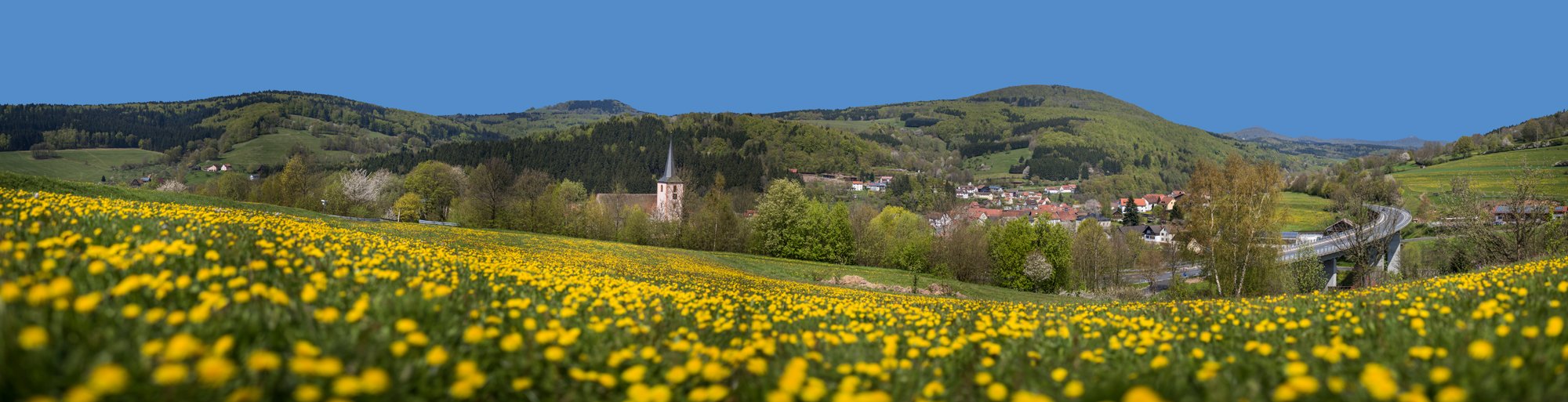 Herzlich Willkommen